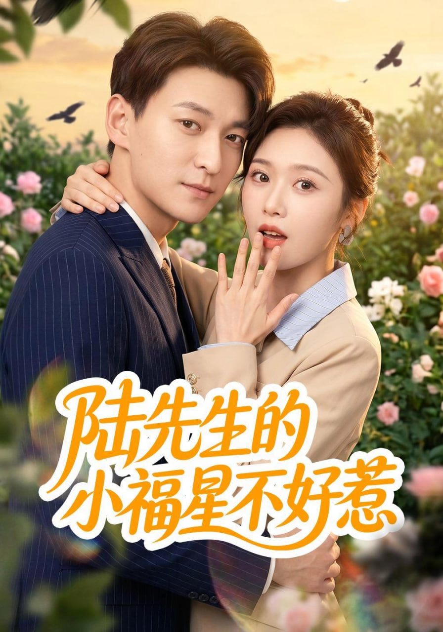 陆先生的小福星不好惹(全集)